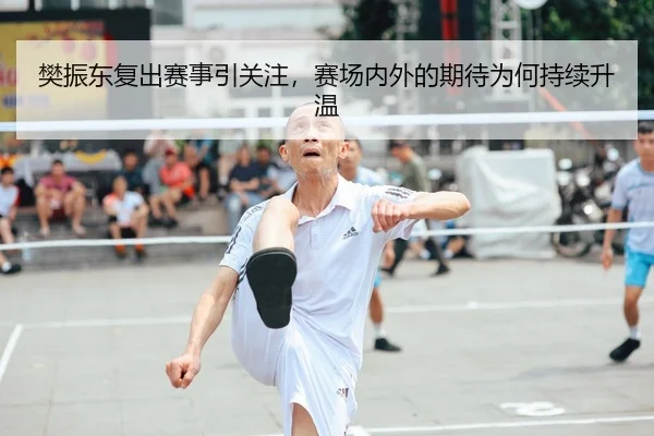 樊振东复出赛事引关注，赛场内外的期待为何持续升温